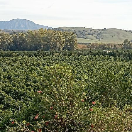 Los Dos Cedros San Pablo Buitenkant foto