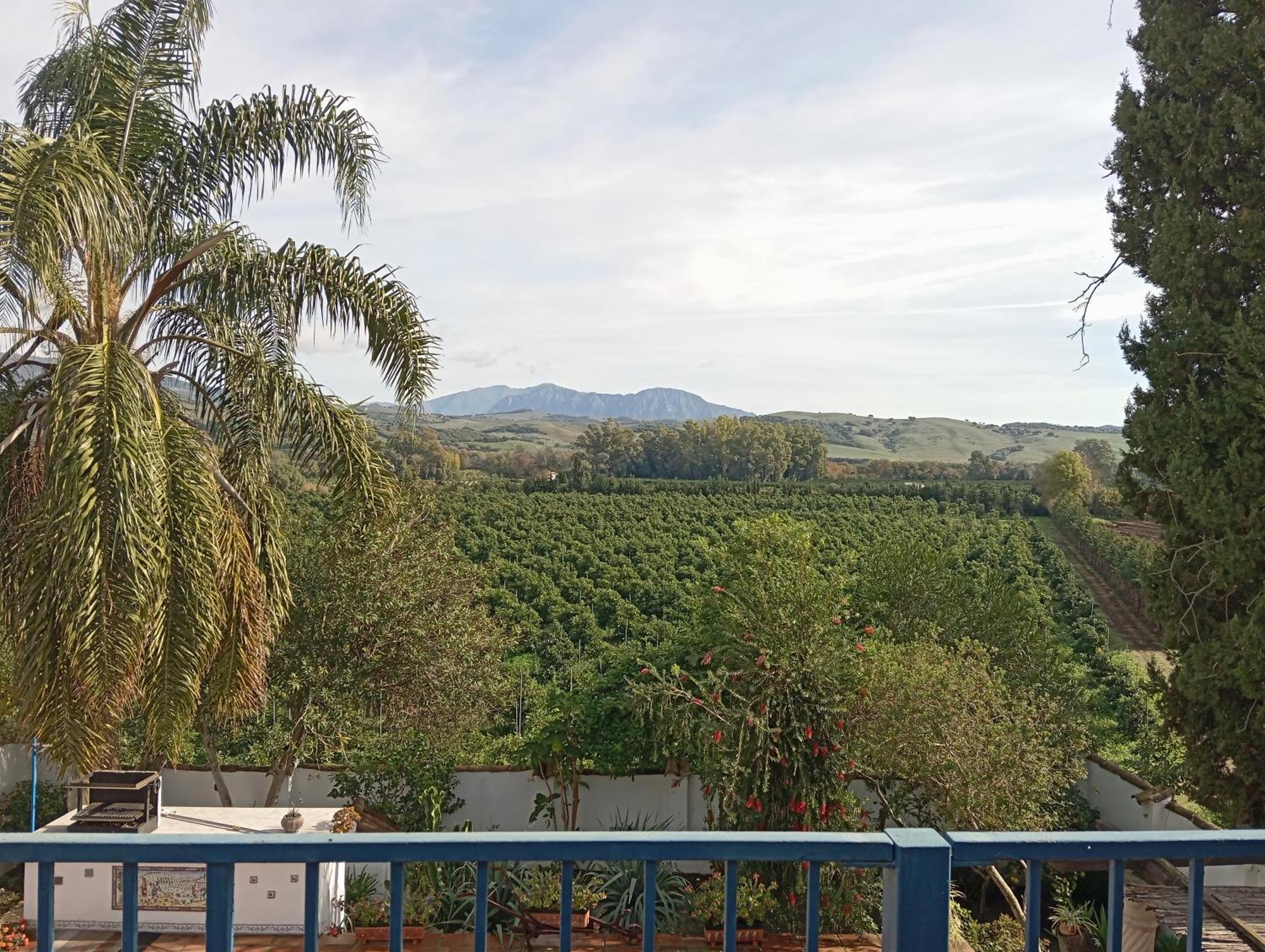 Los Dos Cedros San Pablo Buitenkant foto